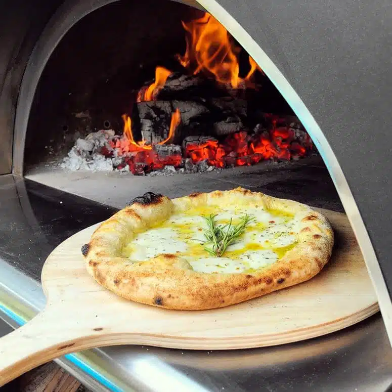 Clementi Family wood fired pizza oven