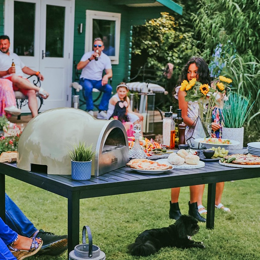 Delivita portable wood fired pizza oven