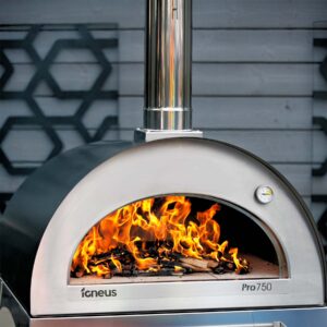 Igneus Pro 750 wood fired pizza oven