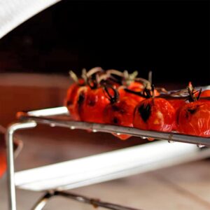 Clementi pizza oven Multi Cook System