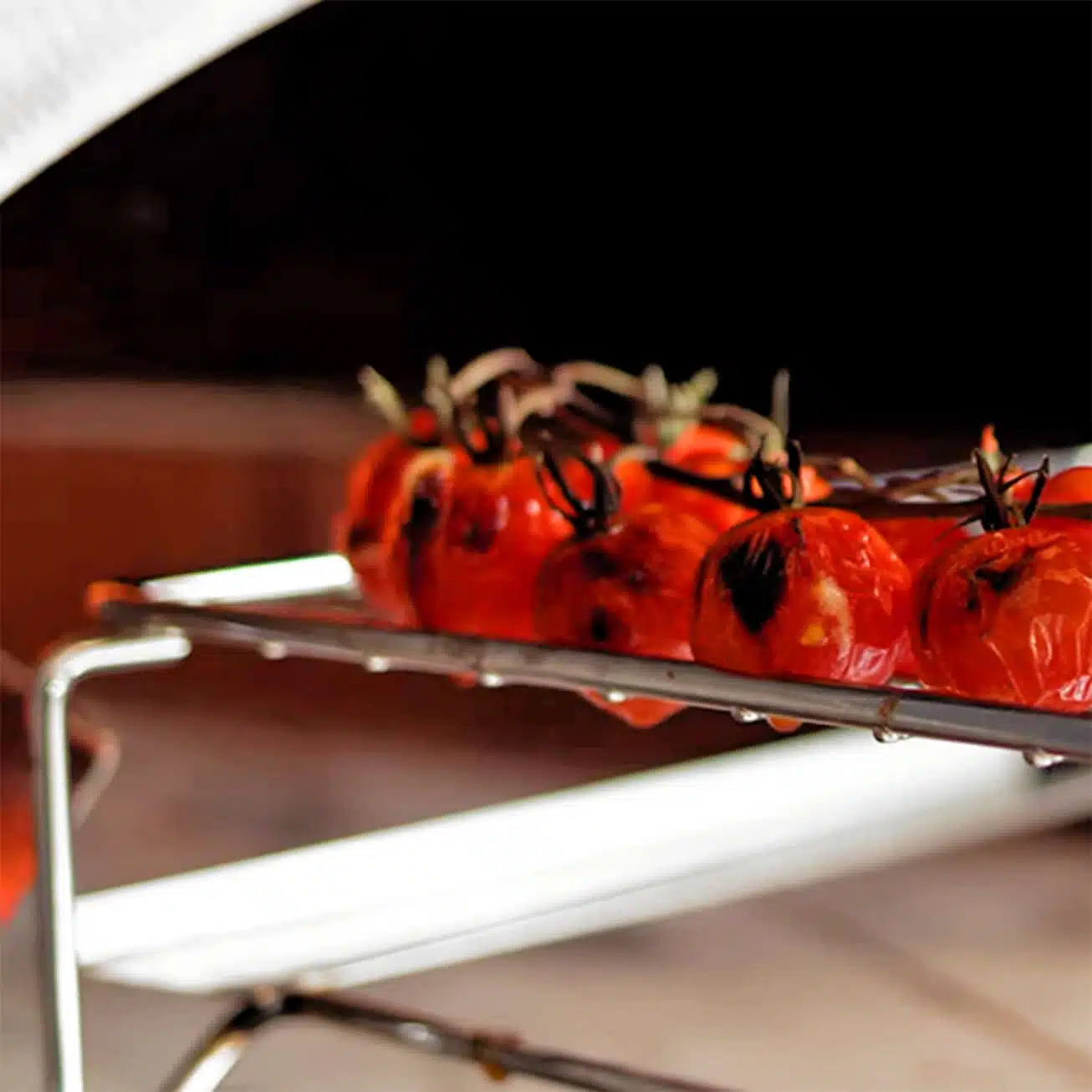 Clementi pizza oven Multi Cook System