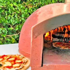 commercial outdoor garden and indoor pizza oven