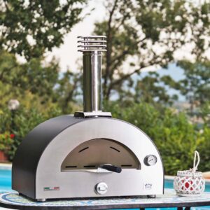 Clementi Clementino gas pizza oven with door
