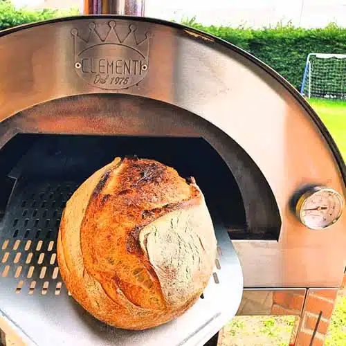 wood and gas pizza oven
