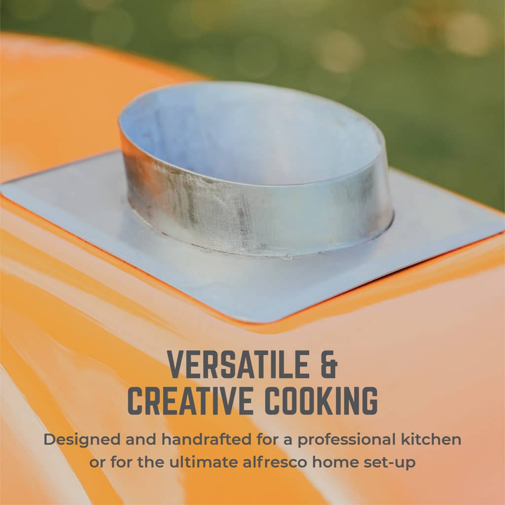 Delivita pro dual fuel pizza oven