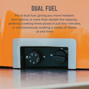 Delivita pro dual fuel pizza oven