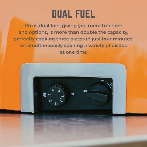Delivita Pro Dual Fuel pizza oven gas