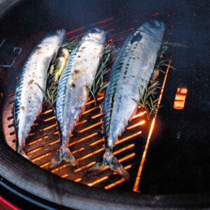 Kamado Joe Classic II Ceramic BBQ Grill