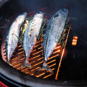 Kamado Joe Classic II Ceramic BBQ Grill