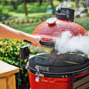 Egg BBQ