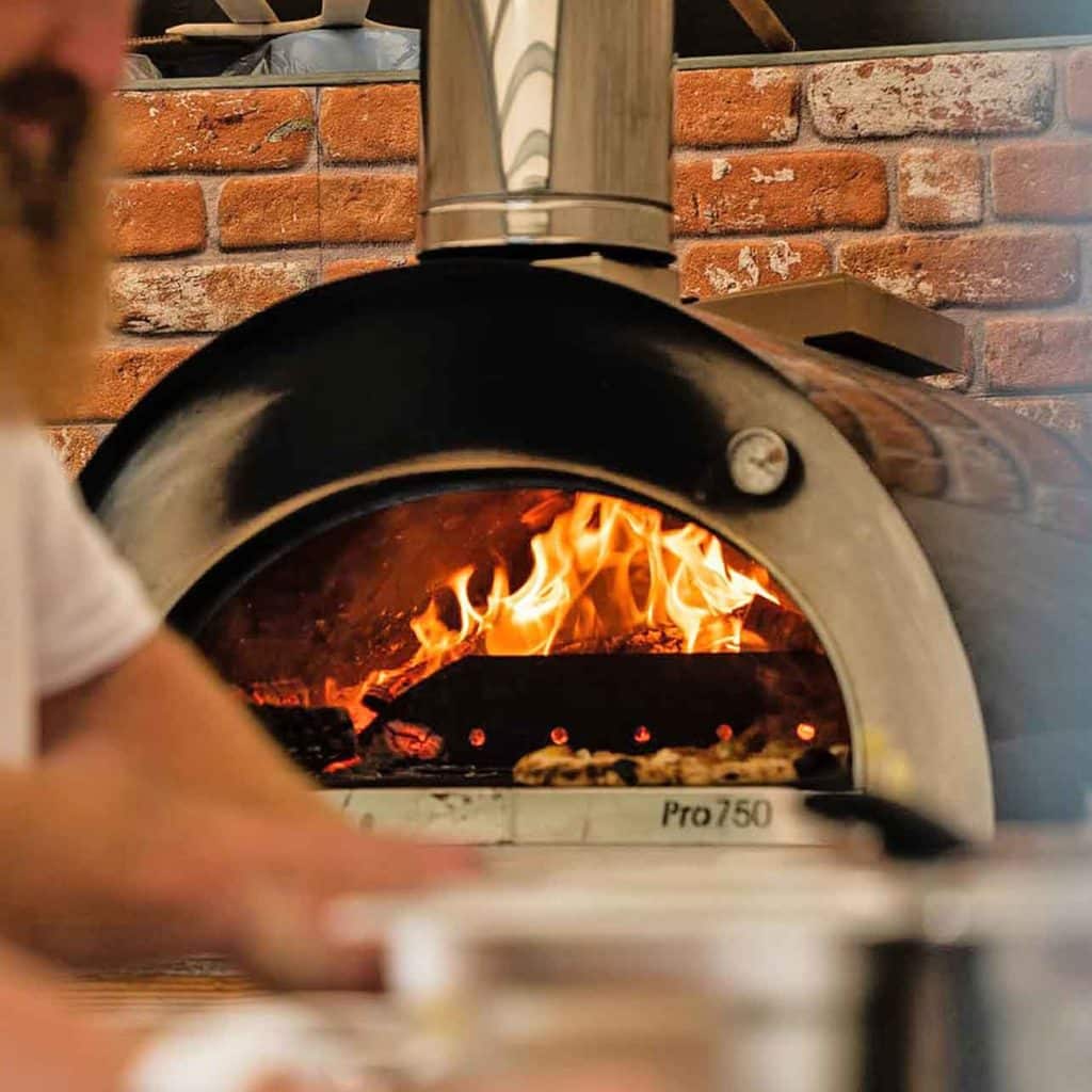 Igneus Pro 750 wood fired pizza oven