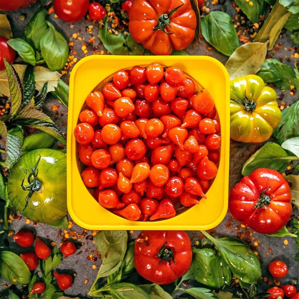 Babadoh Dough Proofing Containers