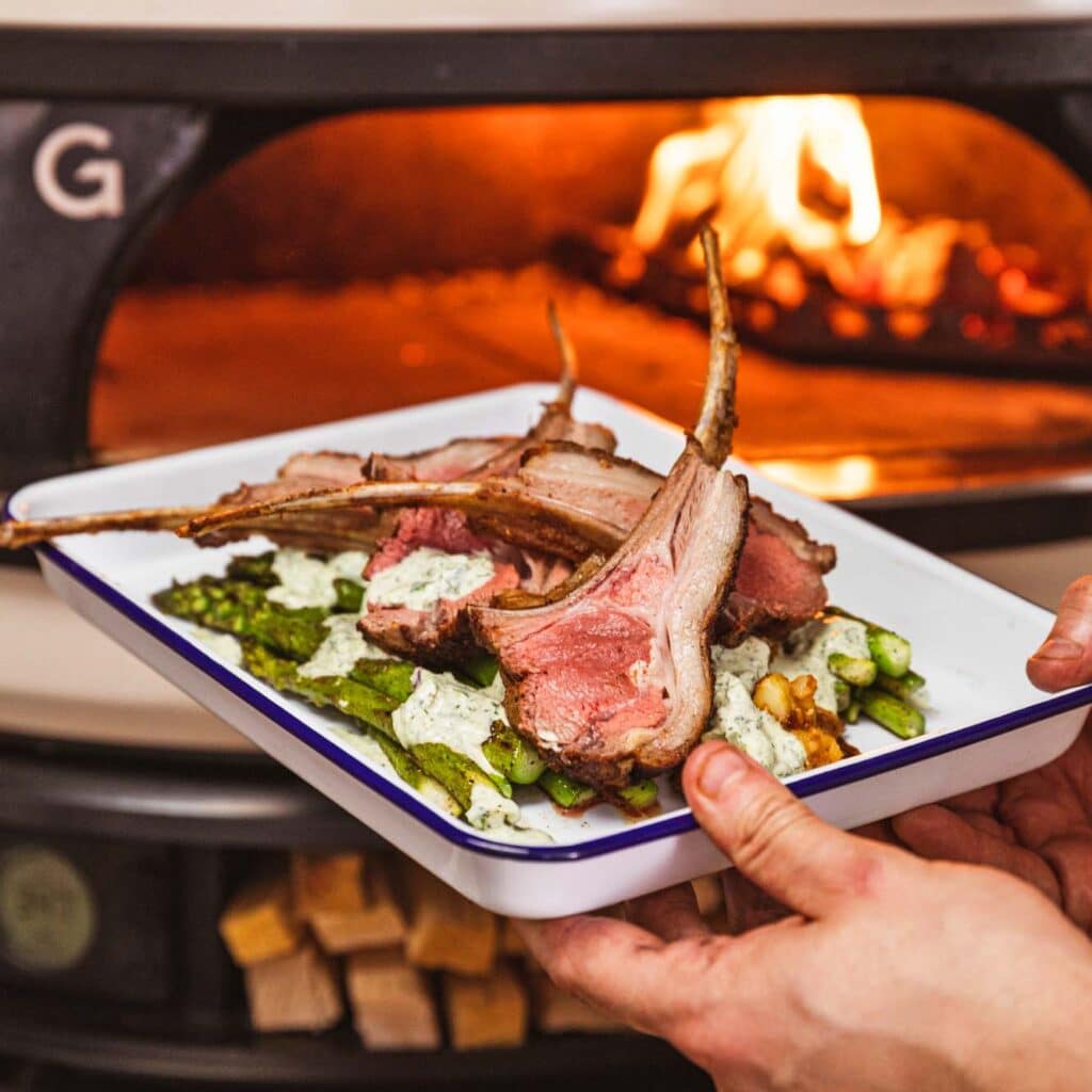 Gozney Dome dual fuel pizza oven