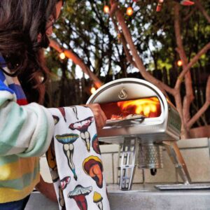Small Pizza Oven