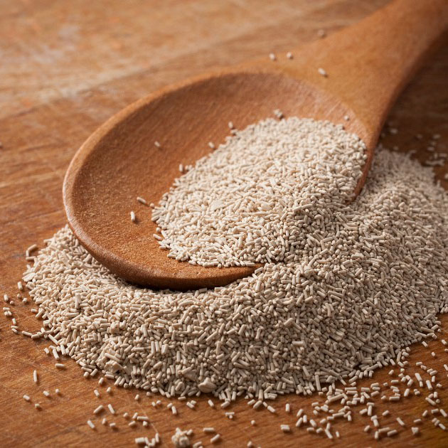 dry yeast