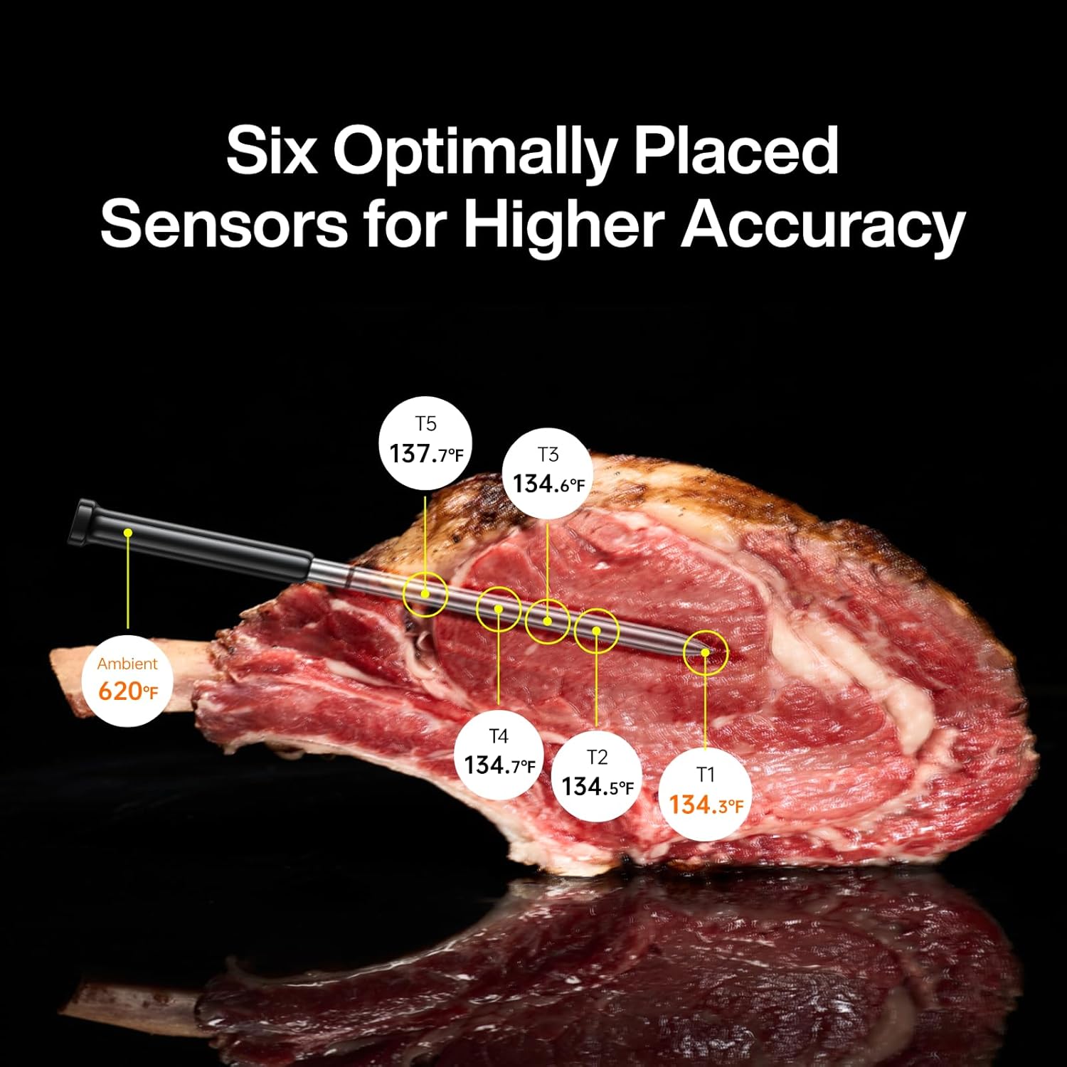 Typhur Sync Gold Lite Wireless Meat Thermometer - Image 4